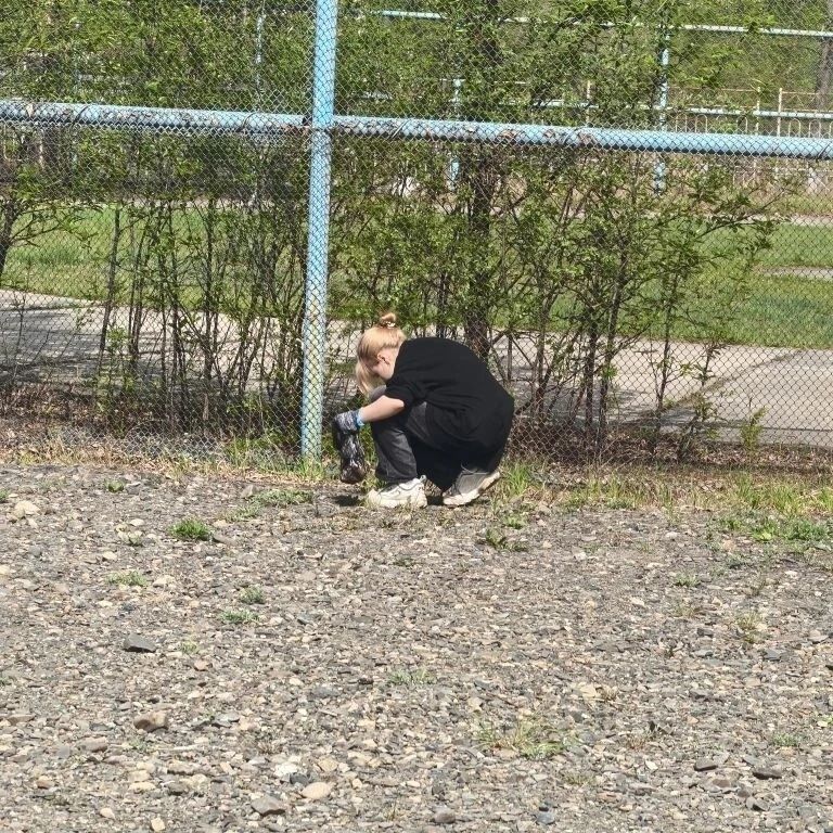 img 6